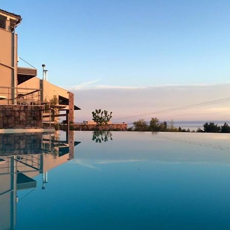 Olivia Estate Villa With Private Swimming Pool 埃利亚 外观 照片