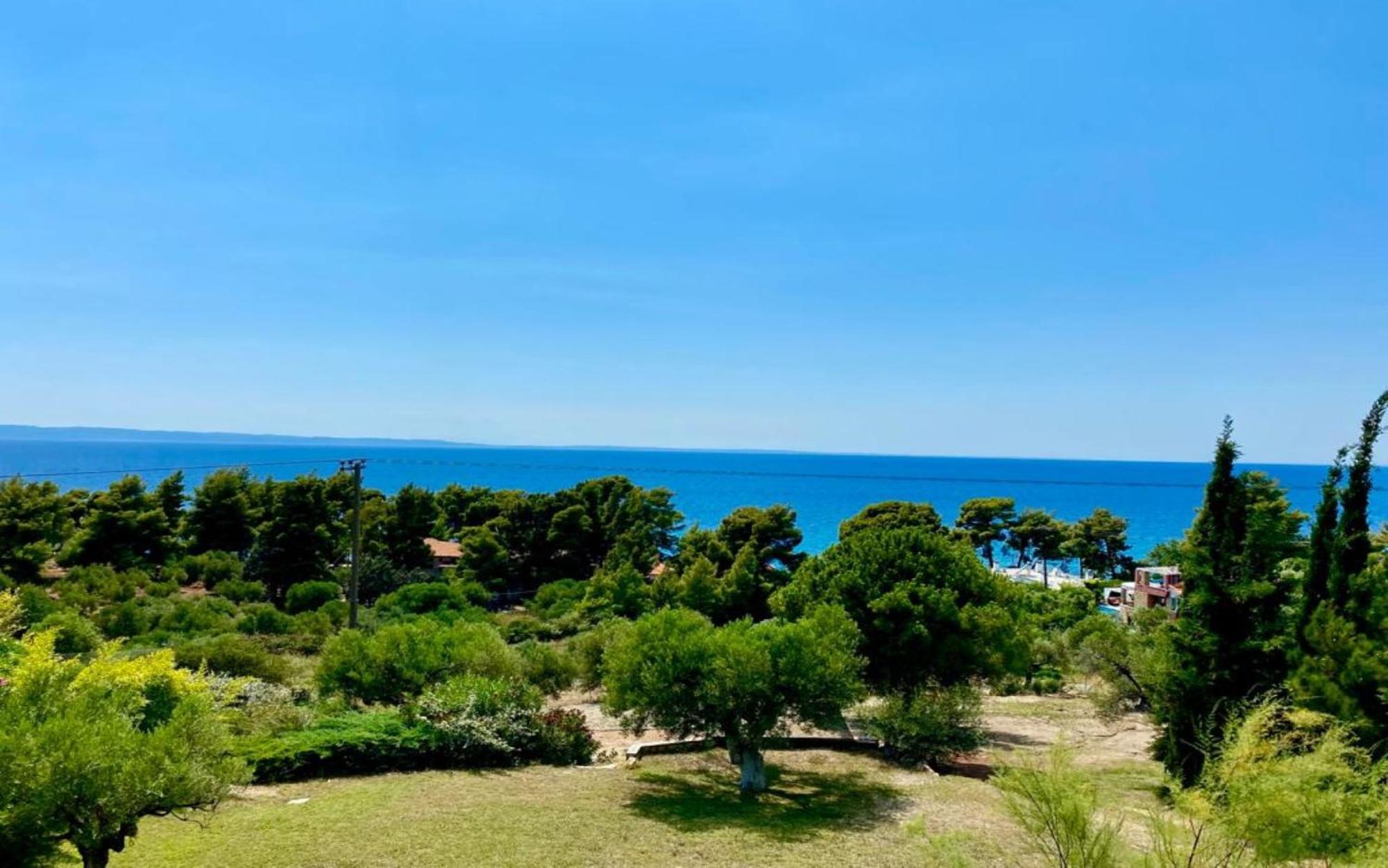 Olivia Estate Villa With Private Swimming Pool 埃利亚 外观 照片