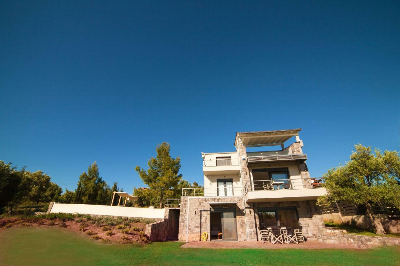 Olivia Estate Villa With Private Swimming Pool 埃利亚 外观 照片