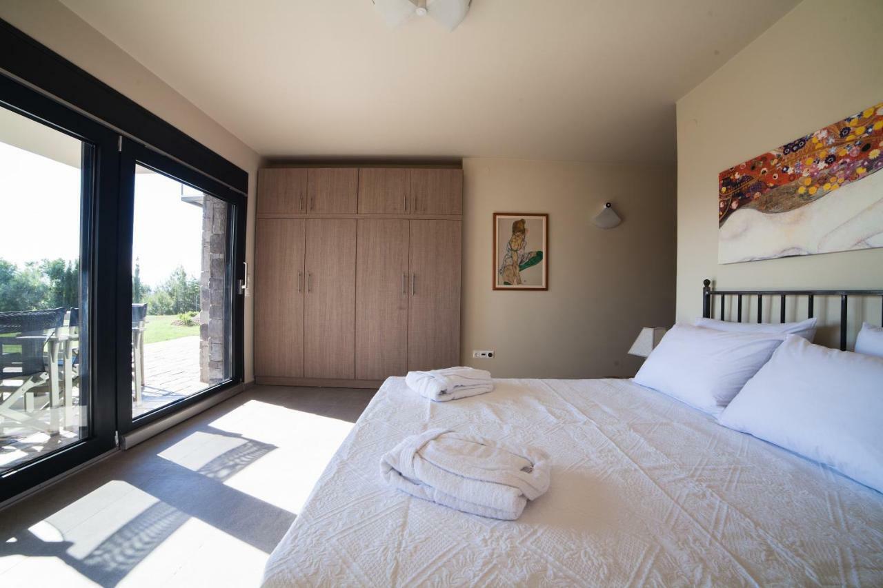 Olivia Estate Villa With Private Swimming Pool 埃利亚 外观 照片