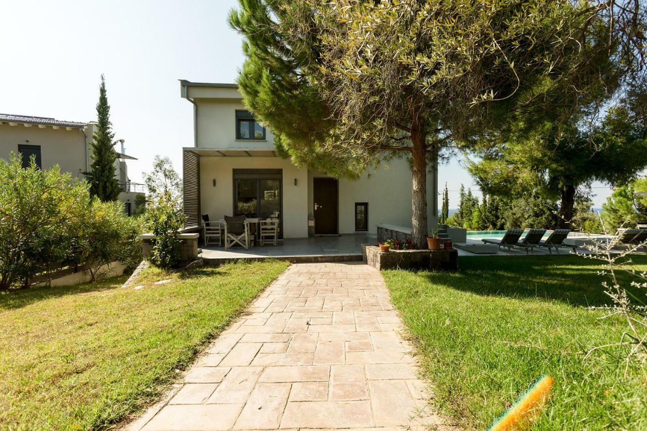 Olivia Estate Villa With Private Swimming Pool 埃利亚 外观 照片