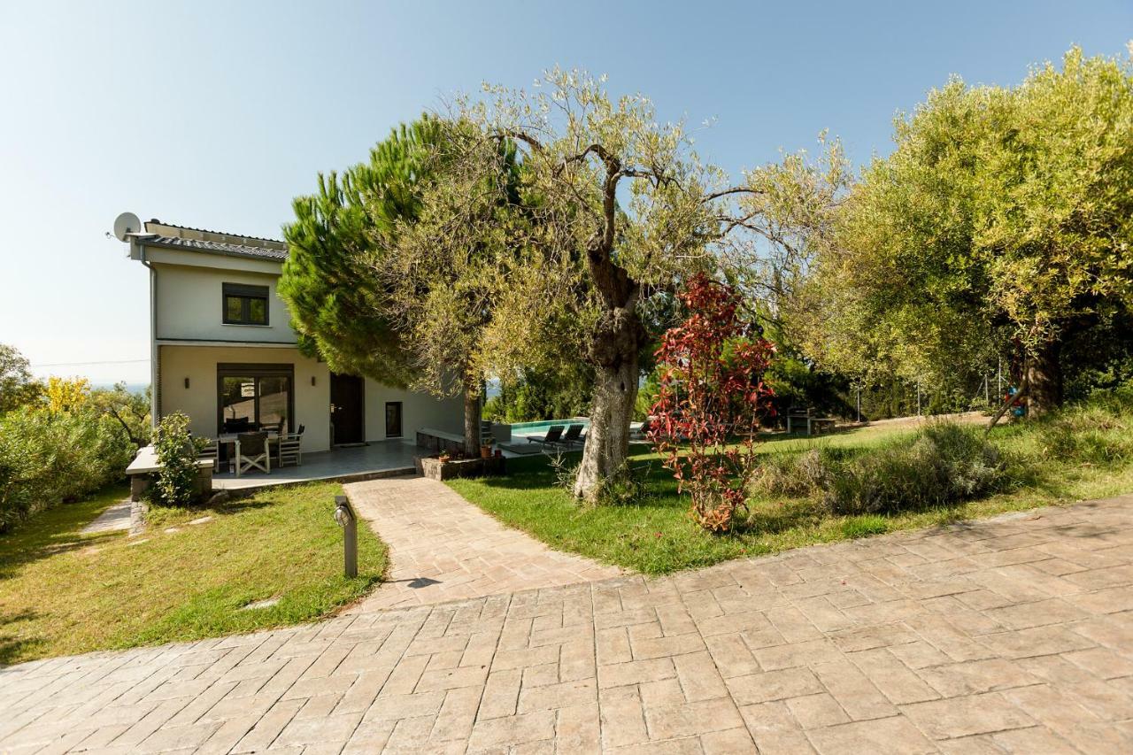 Olivia Estate Villa With Private Swimming Pool 埃利亚 外观 照片