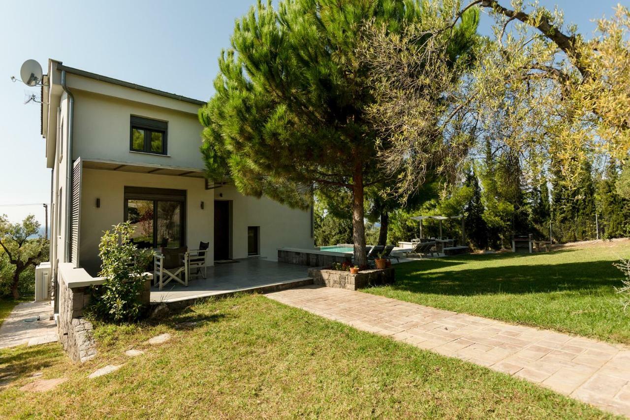 Olivia Estate Villa With Private Swimming Pool 埃利亚 外观 照片