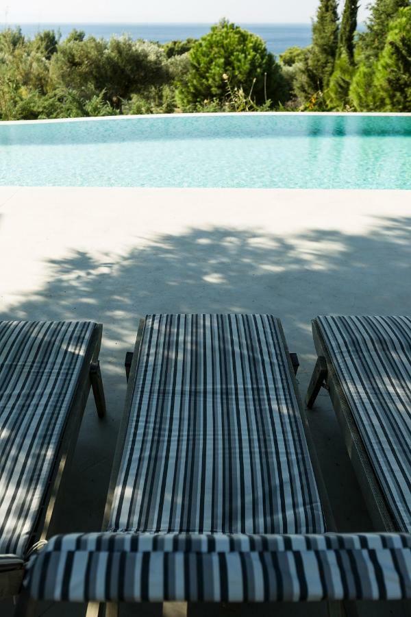 Olivia Estate Villa With Private Swimming Pool 埃利亚 外观 照片