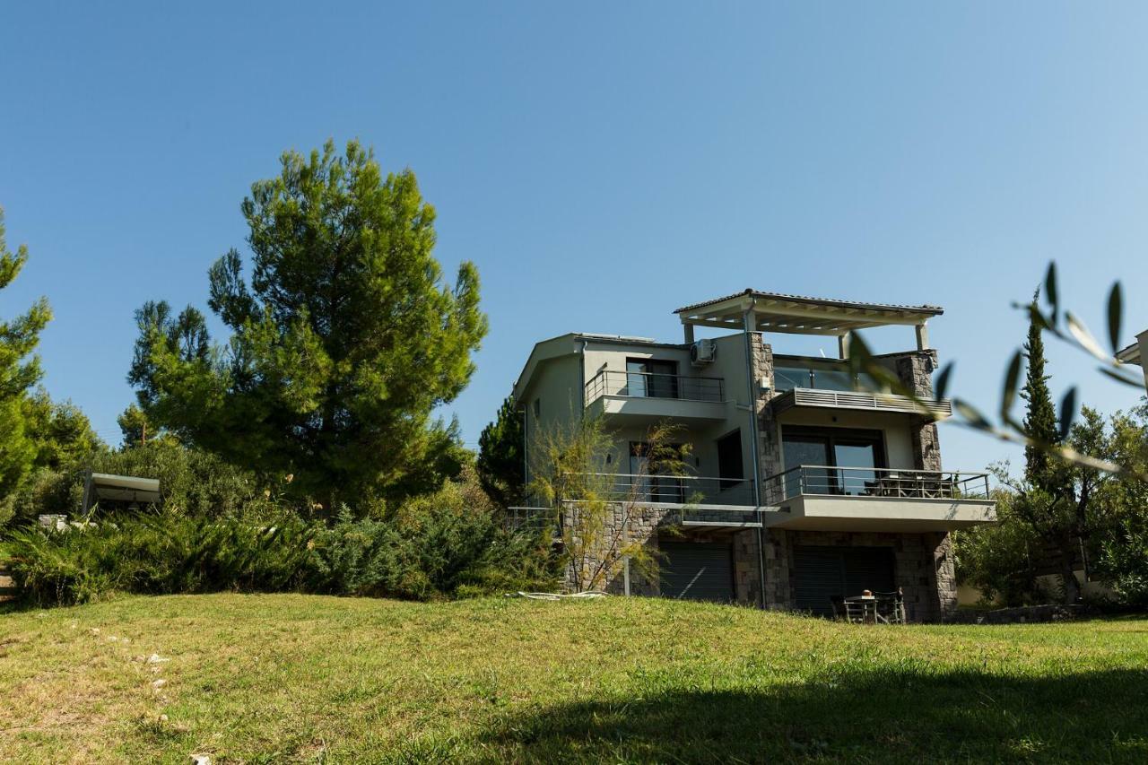 Olivia Estate Villa With Private Swimming Pool 埃利亚 外观 照片